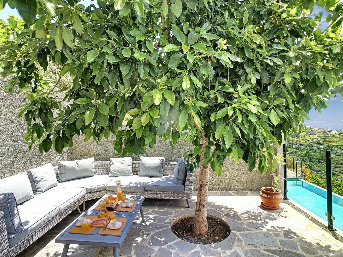 Casa Da Laranja By Lovelystay ริเบรา บราวา ภายนอก รูปภาพ